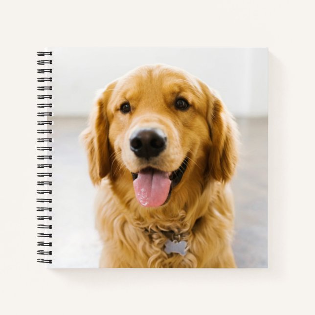 Carnet Golden Retriever souriant (Devant)