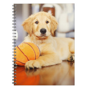 Carnet Golden Retriever With Basketball Toy