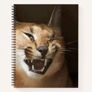 Carnet Goofy Lynx