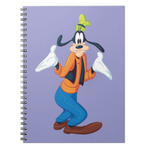 Carnet Goofy   Sortie mains