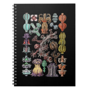 Carnet Gorgonide coloré Corail de mer et Éponges