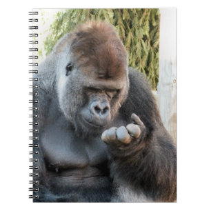CARNET GORILLA