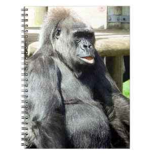 CARNET GORILLA