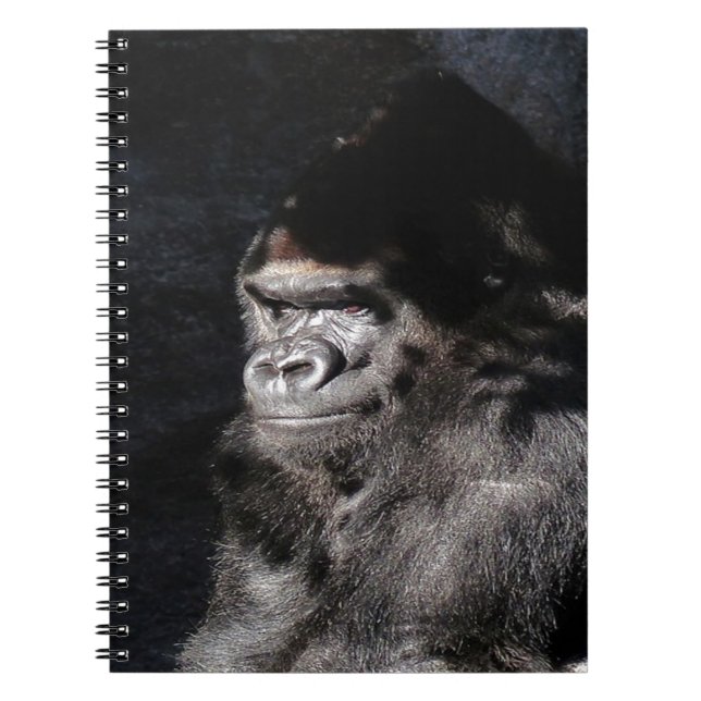 Carnet Gorilla réfléchie (Devant)