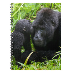 Carnet Gorin bébé des montagnes embrasse un gorille dos a