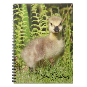 Carnet Gosling (Oie du Canada)