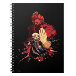 Carnet Gouken contre Akuma