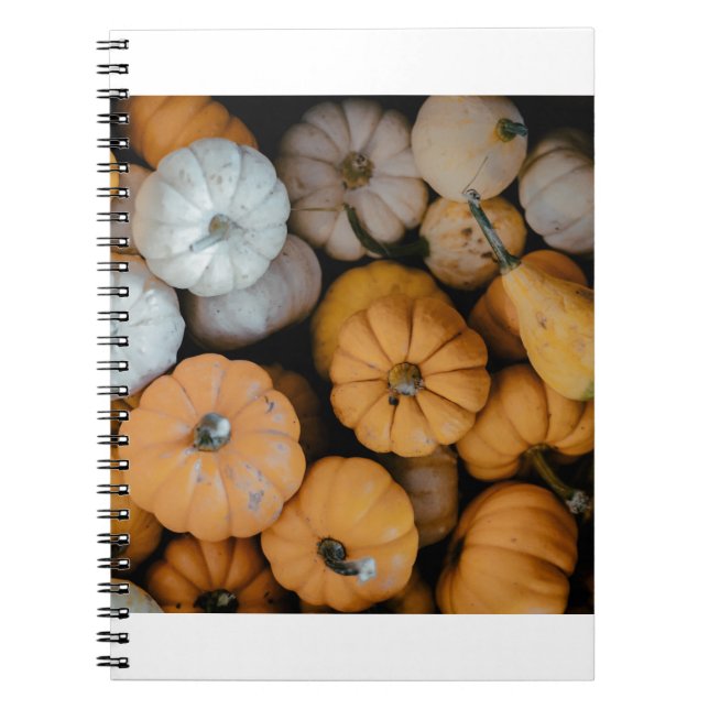 Carnet gourdes (Devant)