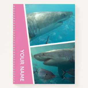 Carnet Grand Requin Blanc Australie Deux Photos, Rose