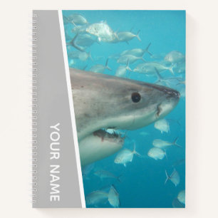 Carnet Grand requin blanc Australie Océan Thème, Argent