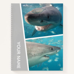 Carnet Grand requin blanc Australie Photo Collage argent