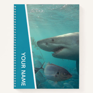 Carnet Grand requin blanc et poisson Australie