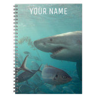 Grand requin blanc Portrait sous-marin Personnalis