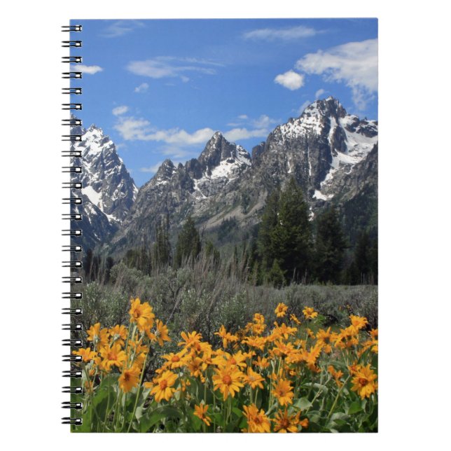 Carnet Grand Tétons aux fleurs jaunes (Devant)