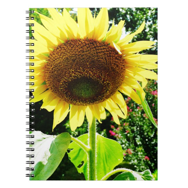 Carnet Grand tournesol jaune (Devant)
