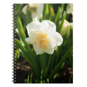 Carnet Grands narcisses blancs par un jour de printemps  
