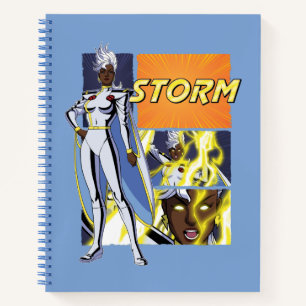 Carnet Graphique du panneau de personnage de Storm