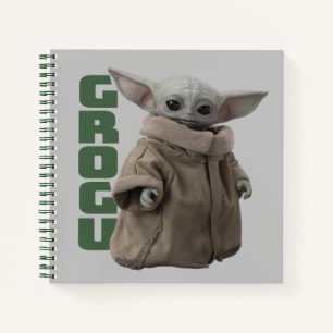Carnet Graphique Nom de caractère Grogu