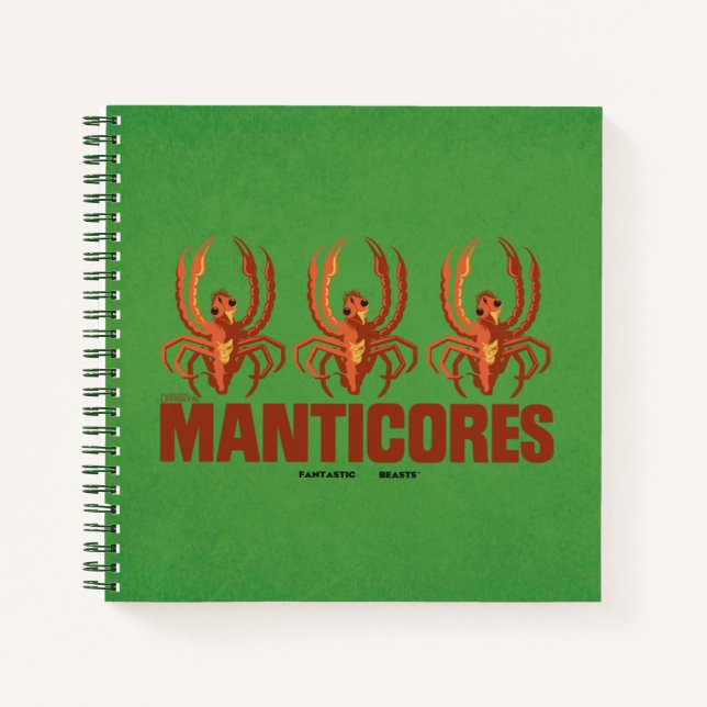 Carnet Graphique Vintage de Baby Manticores (Devant)