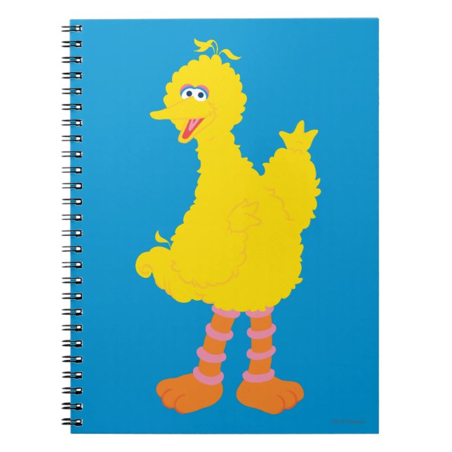 Carnet Graphisme des grands oiseaux (Devant)