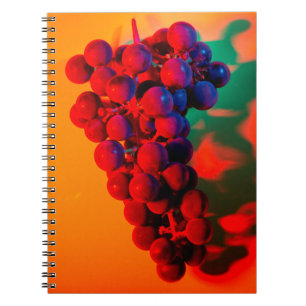 Carnet Grappe de raisin bleu à la lumière de néon orange.