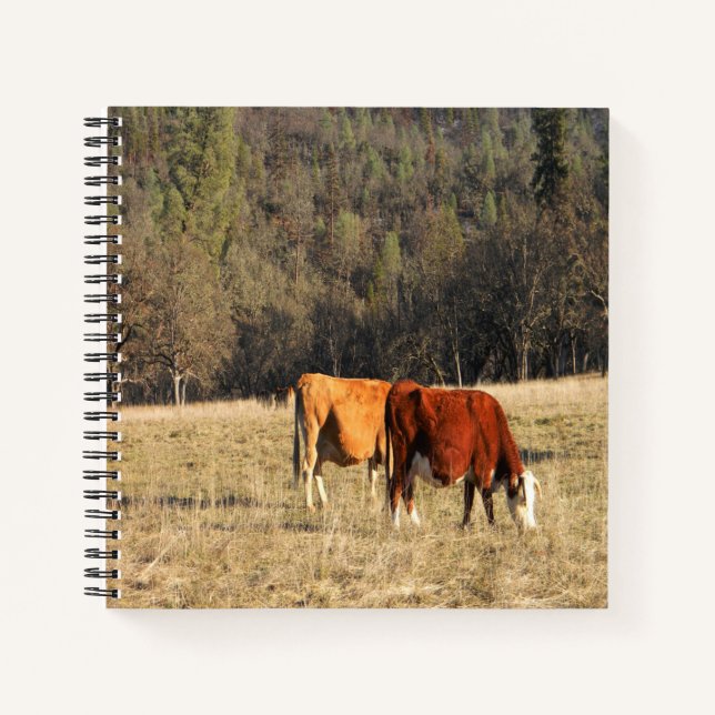 Carnet Grazin.... (Devant)