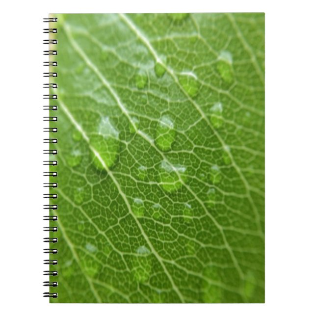Carnet Green leaf (Devant)