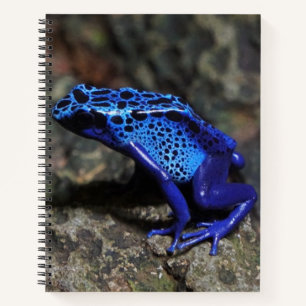 Carnet Grenouille à tarte à poison bleu, grenouille bleue