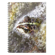 Grenouille plongée dans des bulles d'eau et des mo