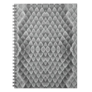 Carnet Grey Snakeskin