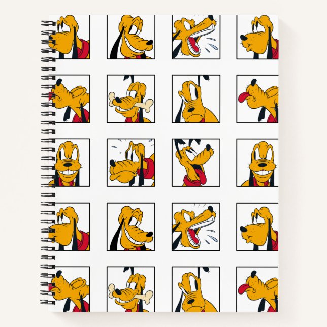 Carnet Grille d'expression de Pluton (Devant)