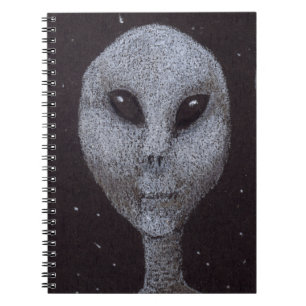 Carnet Gris Alien