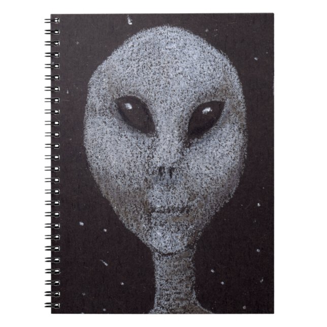 Carnet Gris Alien (Devant)