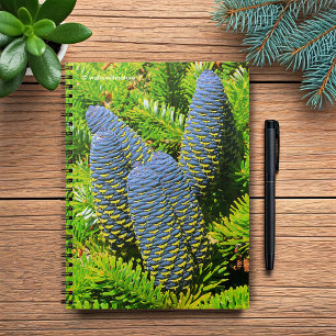 Carnet Gros cônes de sapin coréen bleu