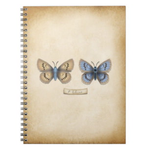 Carnet Gros Papillon Bleu Épais Modèle Vintage