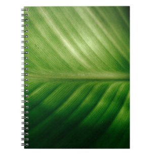 Carnet Gros plan des feuilles vertes