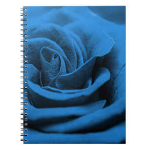 Carnet Gros plan rose bleue rouge, macro beauté.