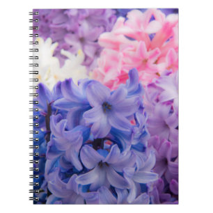 Carnet Gros plan sur une plante de jacinthe