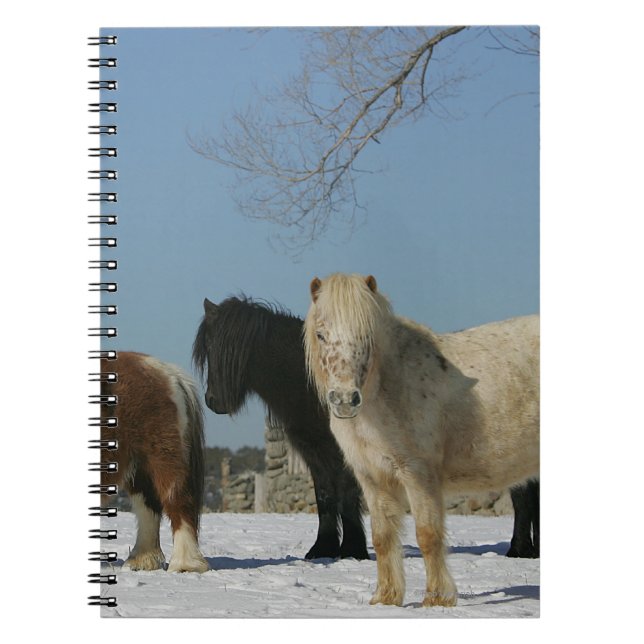 Carnet Groupe de chevaux miniatures dans la neige (Devant)