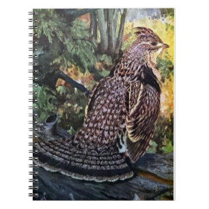Carnet Grouse de Ruffed dans la forêt