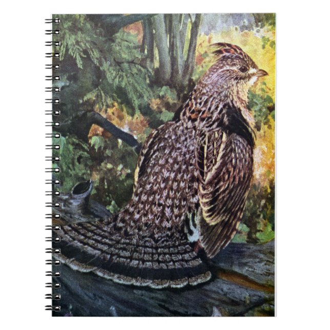 Carnet Grouse de Ruffed dans la forêt (Devant)