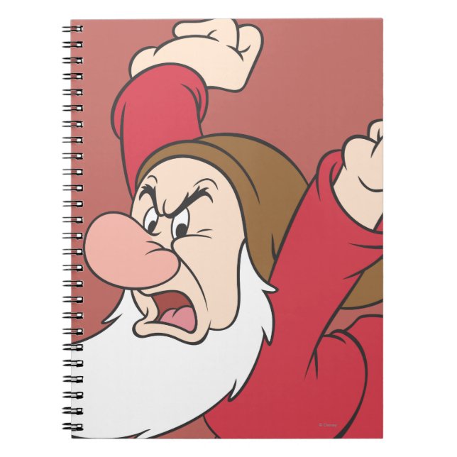 Carnet Grumeux 9 (Devant)