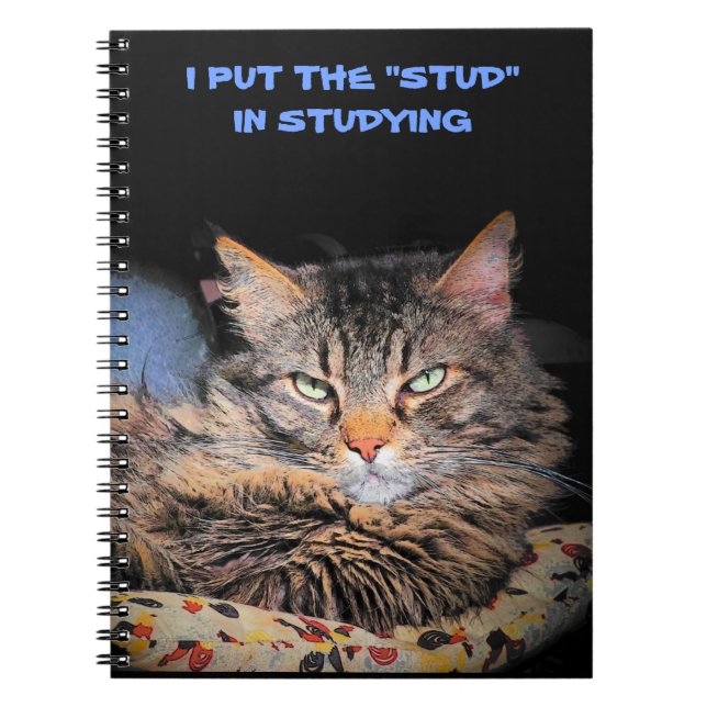 Carnet Grumpy Angel met le Stud dans l'étude (Devant)