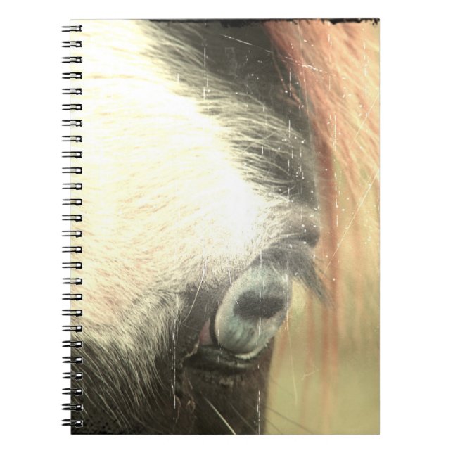 Carnet Grunge de Cheval À Oeil Bleu (Devant)