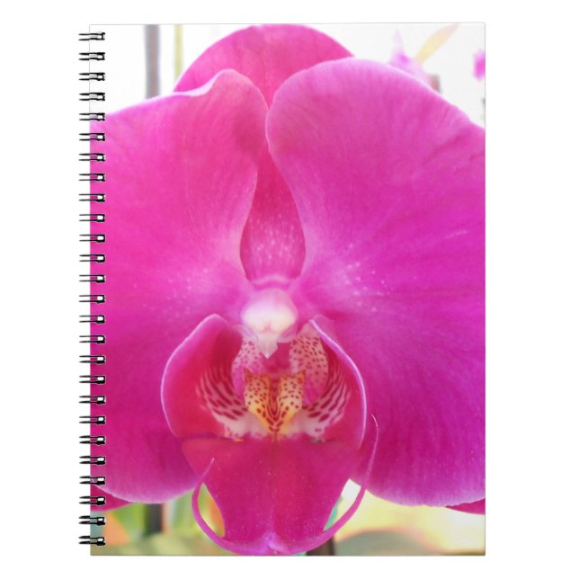 Carnet Guda (Devant)