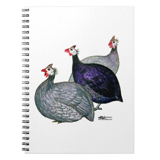 Carnet Guineas trois (Devant)