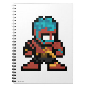 Carnet Hakan à 8 bits
