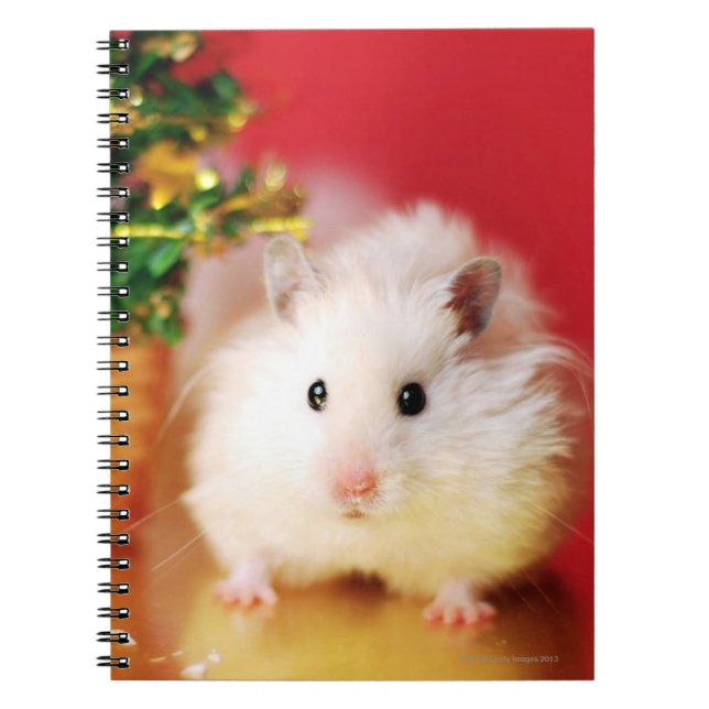 Carnet Hamster Kokolinka avec l'arbre de Noël (Devant)