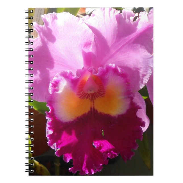 Carnet Harlinde (Devant)