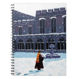 Carnet HARRY POTTER™ et Hedwig dans la cour de HOGWARTS™
